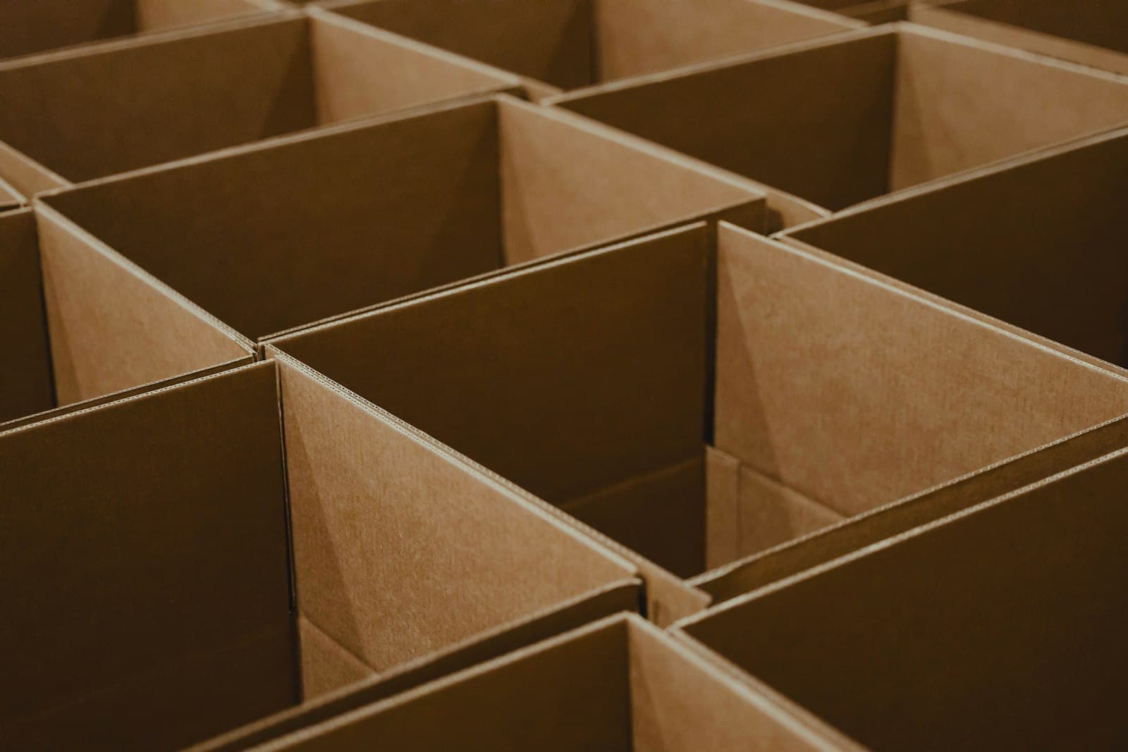Corrugated partitions inside a carton